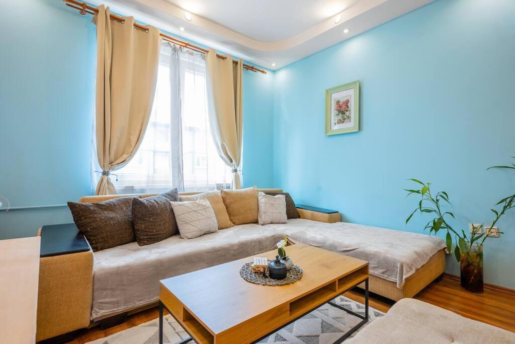 Spacious 3Bd Central Apartment Sofia Bagian luar foto